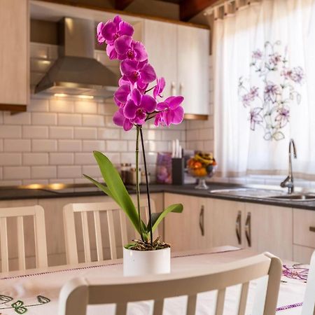 Casa Quintana - Apartamento Carla Tijarafe Exteriör bild